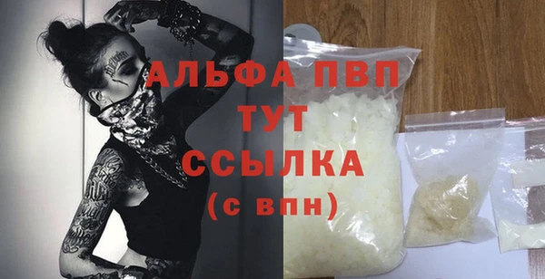 прущие грибы Вязники