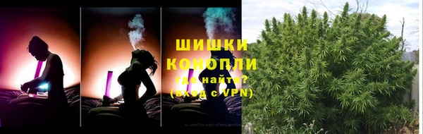 гашик Нефтекумск