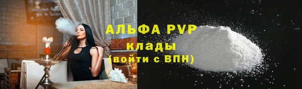 прущие грибы Вязники