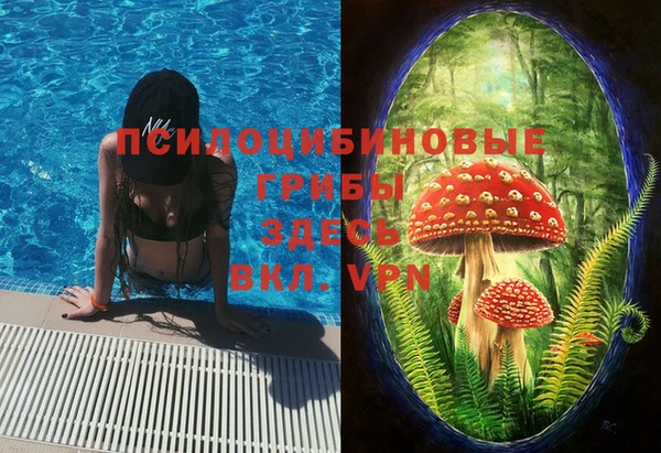 твердый Лабытнанги