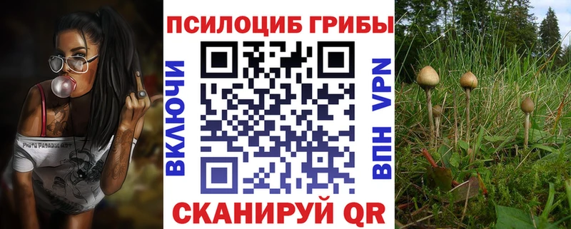 МЕГА зеркало  Истра  Псилоцибиновые грибы прущие грибы  закладка 