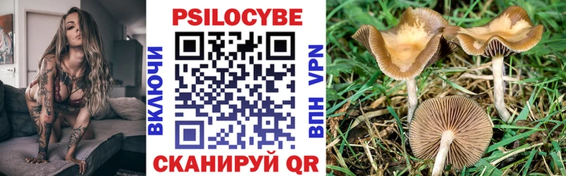 Псилоцибиновые грибы GOLDEN TEACHER Истра